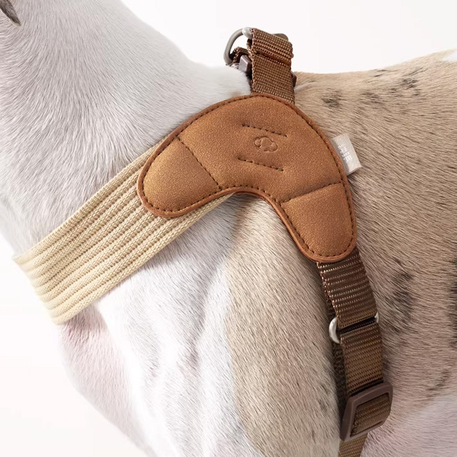 Close-up of V-shaped soft vest harness with leather padding on dog chest