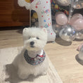 Load image into Gallery viewer, White dog wearing vintage plaid ruffle bow collar at birthday party
