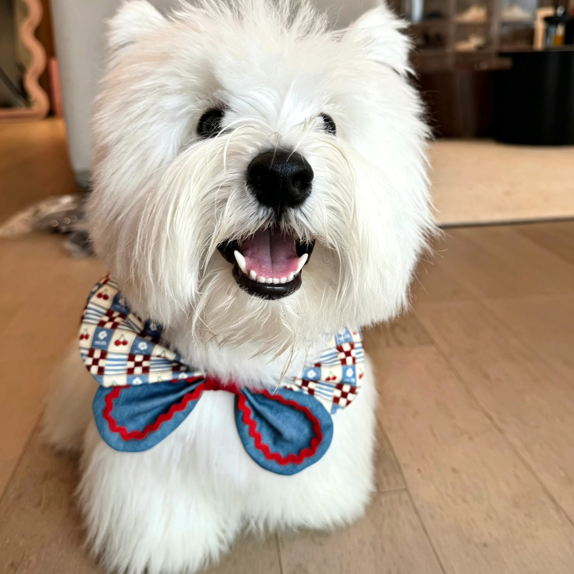 White West Highland terrier dog wearing cherry print vintage bow collar bandana with layered denim bow and red trim indoors