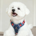 Load image into Gallery viewer, dog wearing denim blue harness and leash set comfortable adjustable pet walking gear
