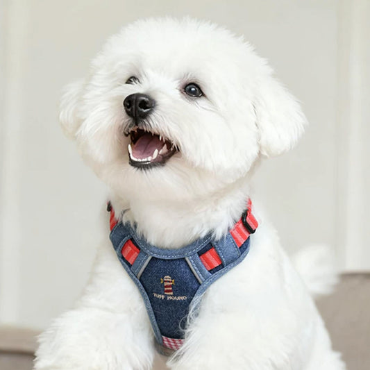 dog wearing denim blue harness and leash set comfortable adjustable pet walking gear