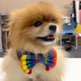 Load image into Gallery viewer, Pride dog collar handmade rainbow bandana style for small dogs
