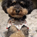 Load image into Gallery viewer, small dog wearing decorative pom pom pet bandana
